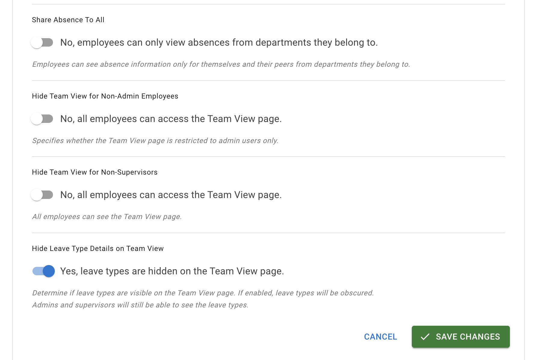 Team View privacy settings options